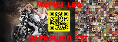 эйфоретик Донской