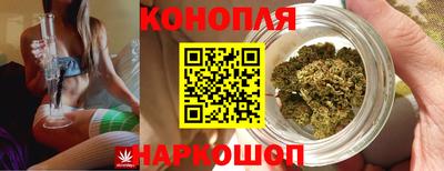 эйфоретик Донской