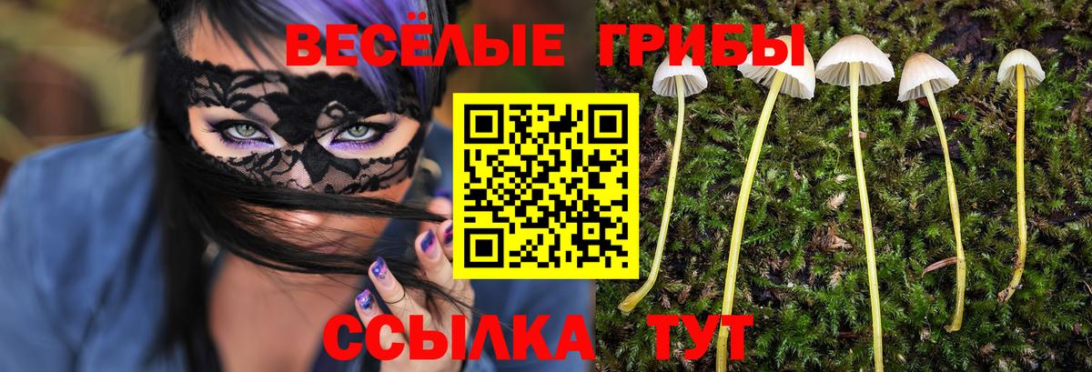 Луховицы  Галлюциногенные грибы Magic Shrooms  Вход с VPN  купить наркотик  Псилоцибиновые грибы мухоморы 