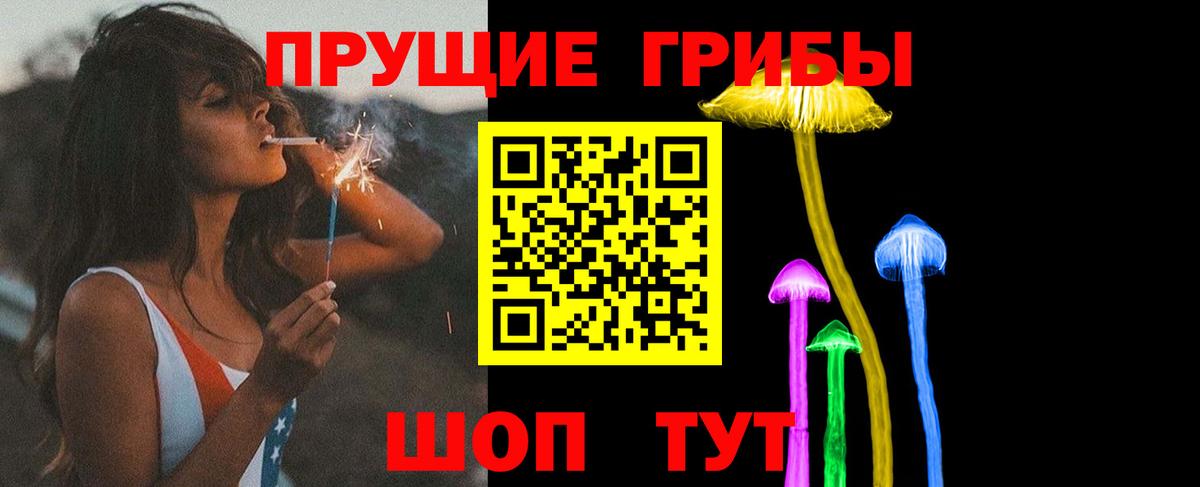 Псилоцибиновые грибы Cubensis Луховицы